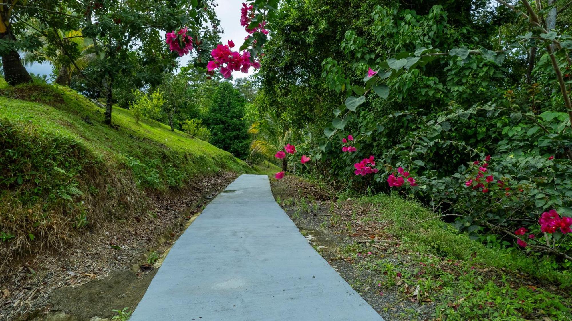 Serenity Rainforest Condos La Fortuna Εξωτερικό φωτογραφία